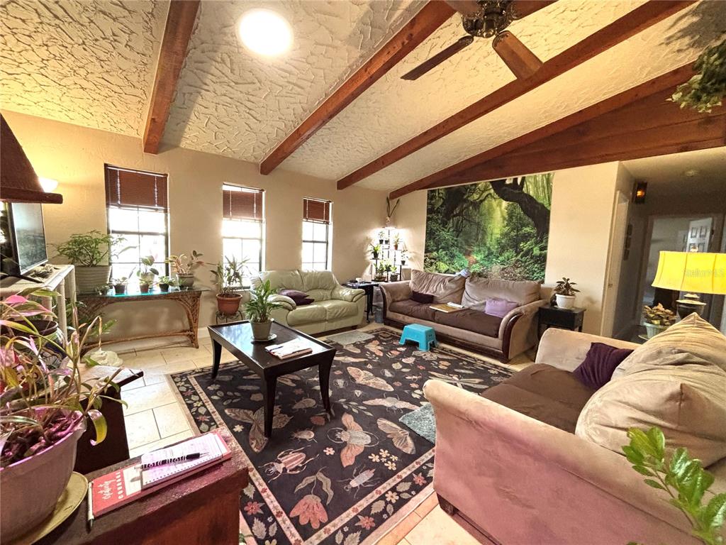 A living room features vaulted ceilings with exposed wood beams, tile flooring, and a large rug — 6 FAIRGREEN AVENUE, NEW SMYRNA BEACH, FL