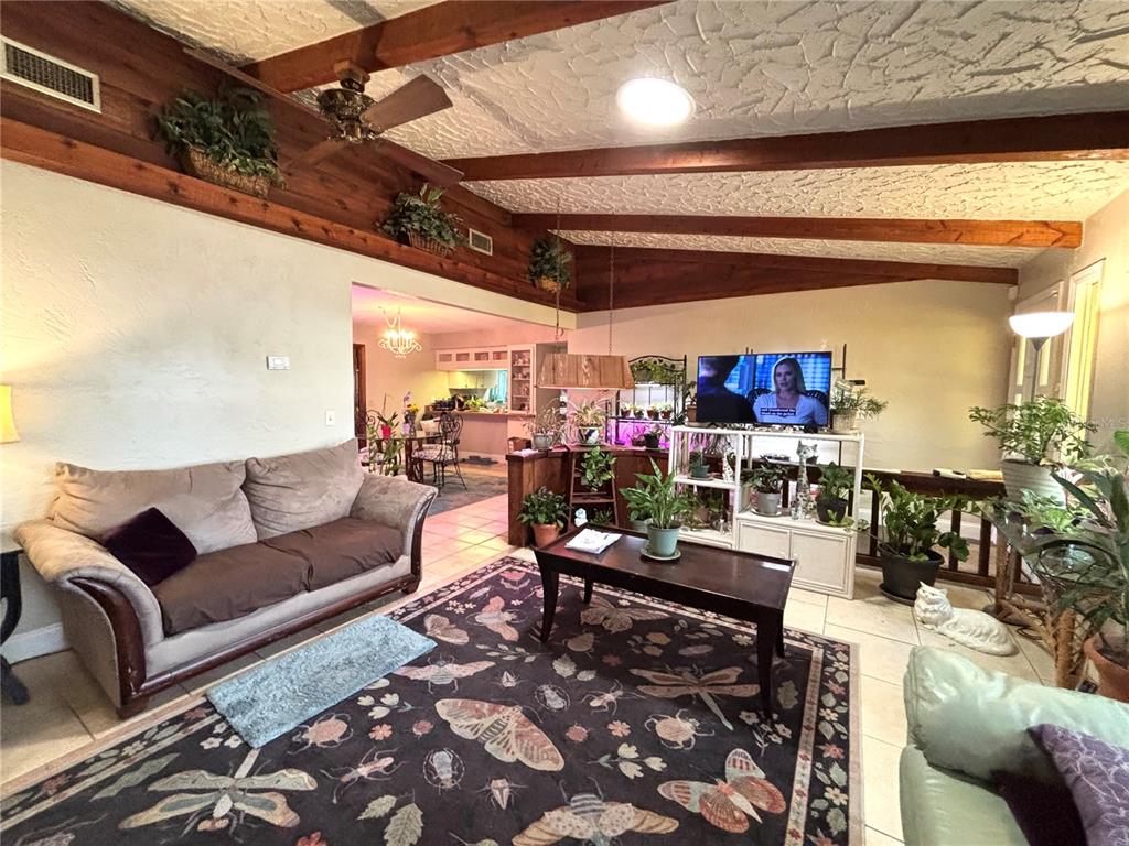 A living room features exposed wood beams, a vaulted ceiling, and a dark insect-patterned rug — 6 FAIRGREEN AVENUE, NEW SMYRNA BEACH, FL
