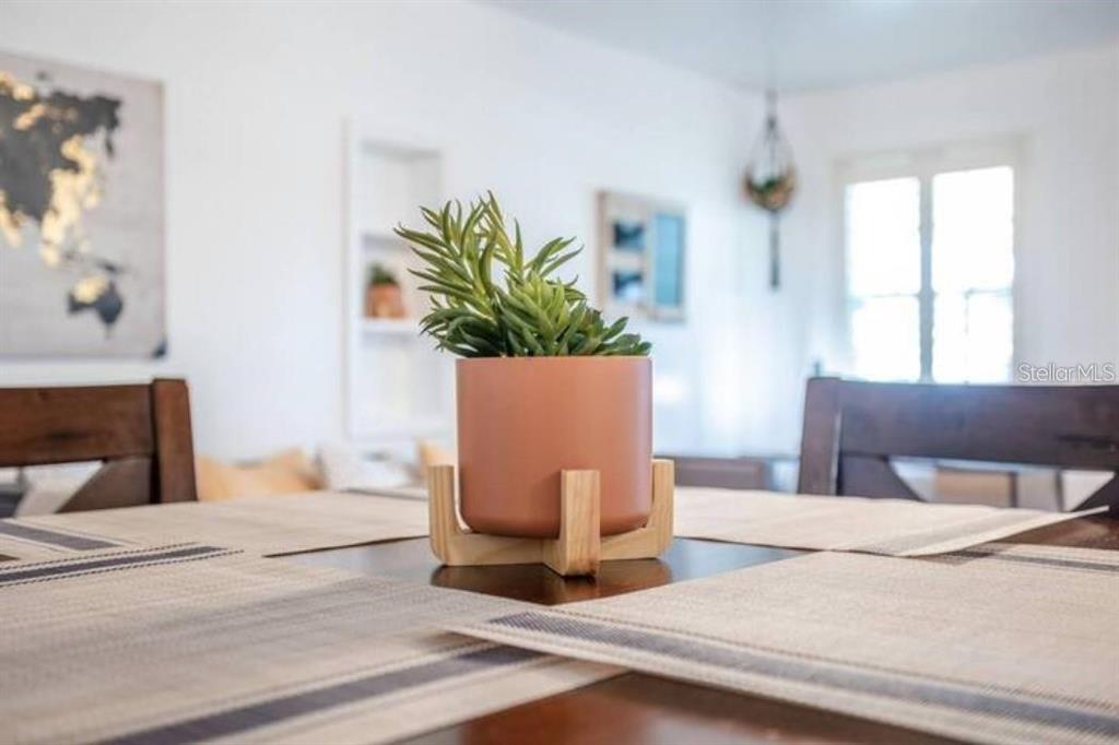 A close-up view of a succulent in a terracotta pot on a dining table — 3120 PEEL AVENUE, ORLANDO, FL