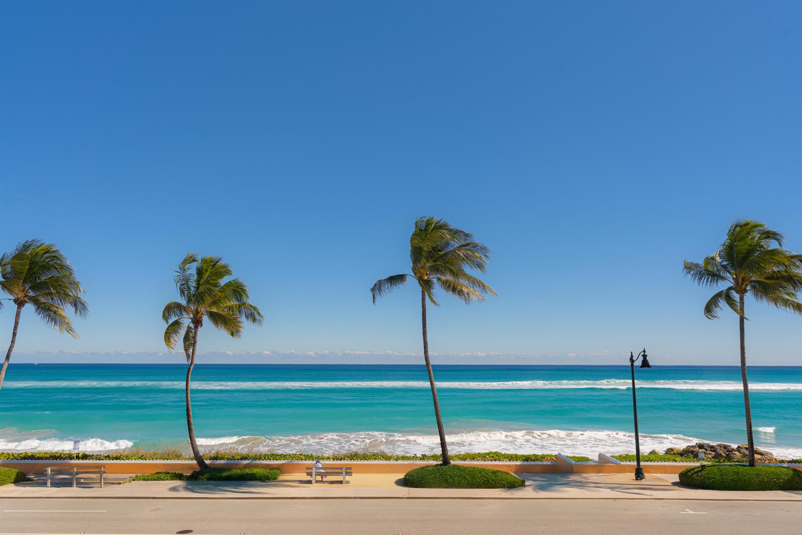 Four palm trees stand along a paved walkway overlooking a turquoise ocean under a clear sky — 100 Worth Avenue # 310, Palm Beach FL 33480, PALM BEACH, FL