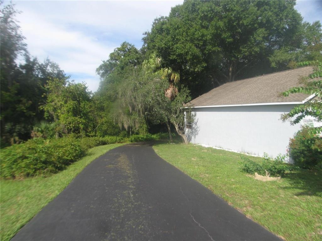 A paved driveway leads toward the side of a house surrounded by trees and vegetation — 145 CROOKED PINE ROAD, PORT ORANGE, FL