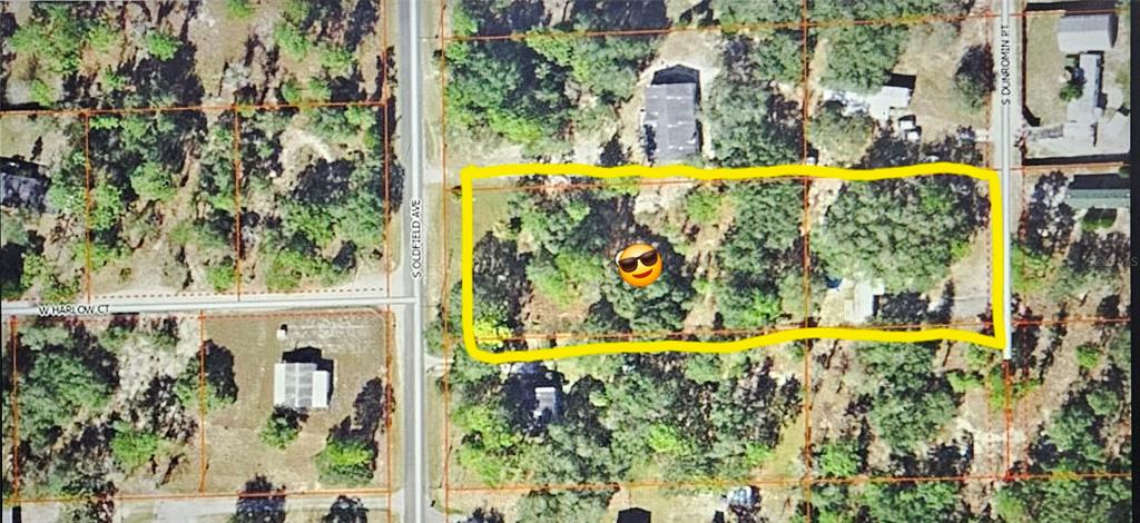 An aerial map view shows a rectangular wooded lot outlined in yellow — 5717 S OLDFIELD AVENUE, HOMOSASSA, FL