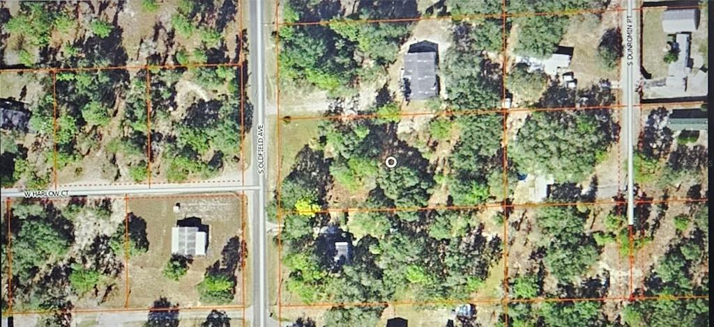 This is an aerial map view showing residential lots, wooded areas, and local streets — 5717 S OLDFIELD AVENUE, HOMOSASSA, FL