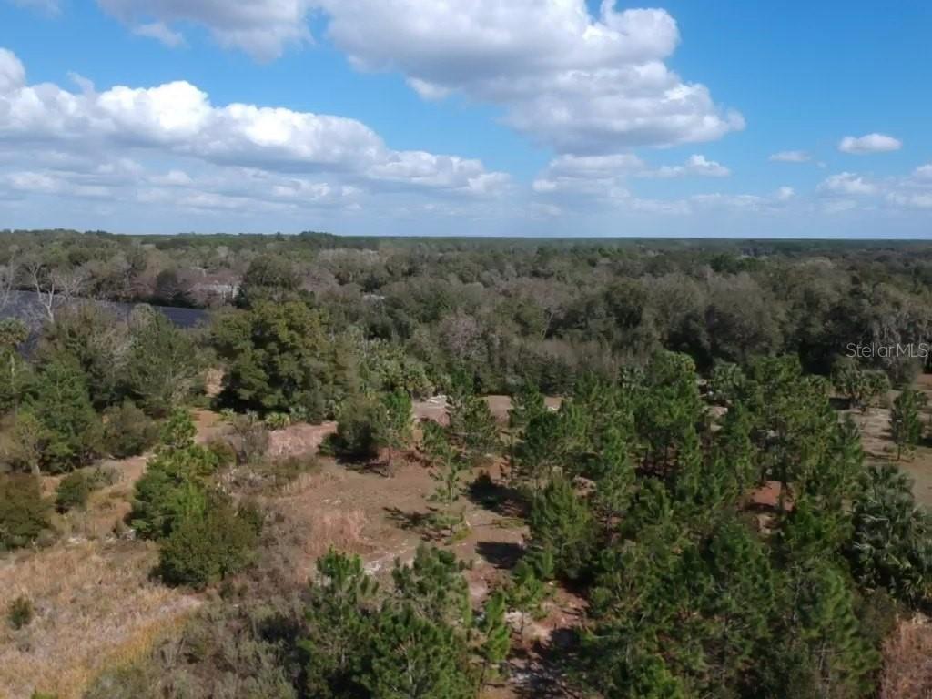An aerial view shows a wooded lot with scattered pine trees and a distant river — 00 Crooked Mile ROAD, PAISLEY, FL