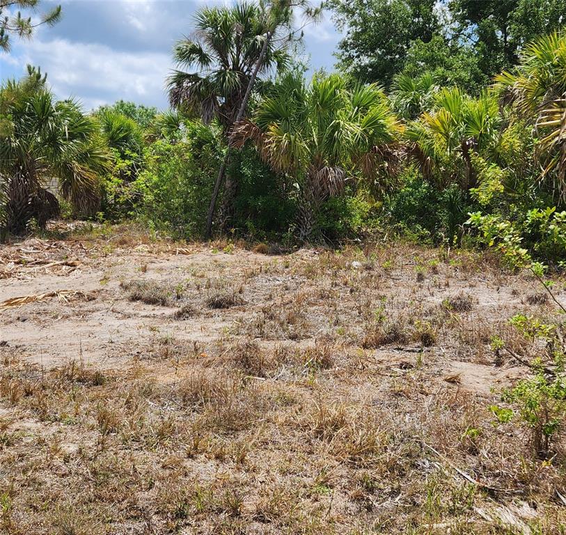 A vacant, sandy lot features scattered dry vegetation and dense palm trees in the background — BENNINGTON STREET, NORTH PORT, FL