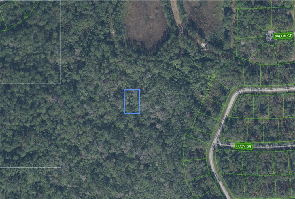 This is an aerial map showing a vacant lot outlined in blue within a wooded area — 8564 OVIEDO STREET, SEBRING, FL