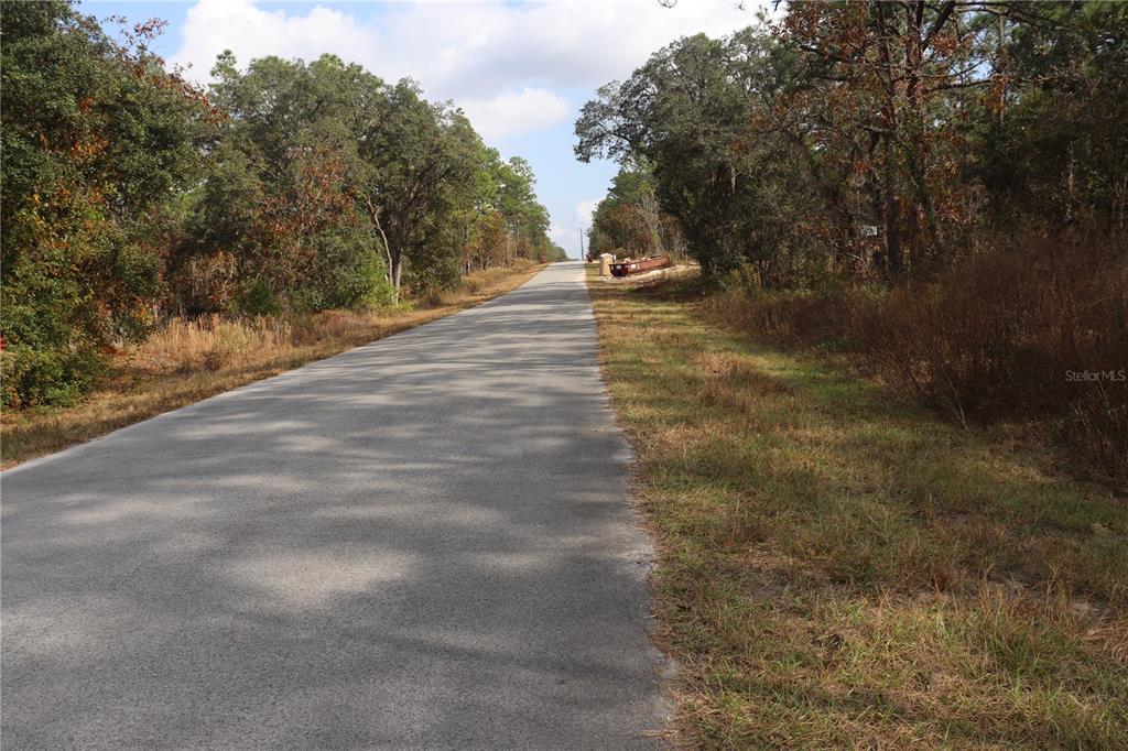 A paved road stretches into the distance through a wooded area with a dumpster nearby — 00 GERANIUM AVENUE, DUNNELLON, FL