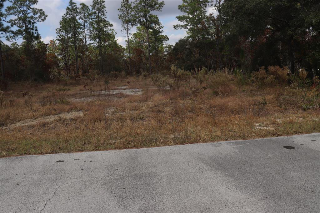 A vacant, grassy lot with scattered brush and trees sits behind a paved road — 00 GERANIUM AVENUE, DUNNELLON, FL