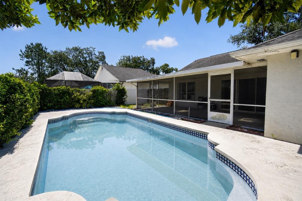 A backyard swimming pool sits next to a house with a screened-in patio — 906 LAKEMONT HILLS BOULEVARD, BRANDON, FL