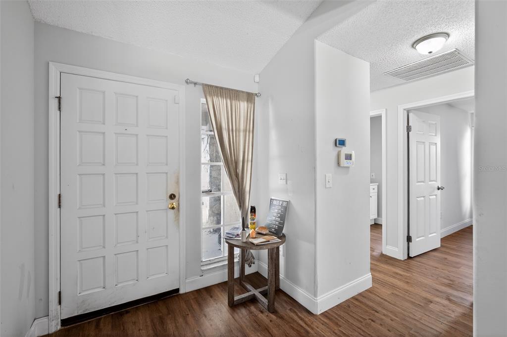 An entryway features a white door, a small round table, and wood-look flooring — 906 LAKEMONT HILLS BOULEVARD, BRANDON, FL