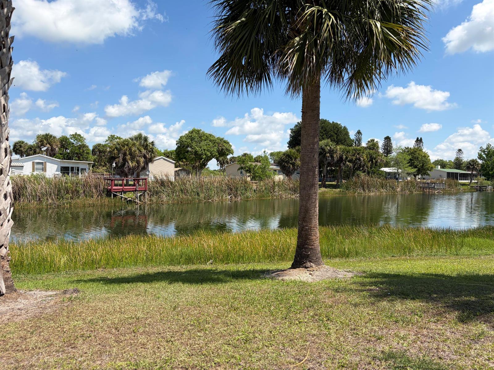 A palm tree stands in the foreground overlooking a pond with houses in the background — 1075 Friendship Drive NE, Moore Haven FL 33471, MOORE HAVEN, FL