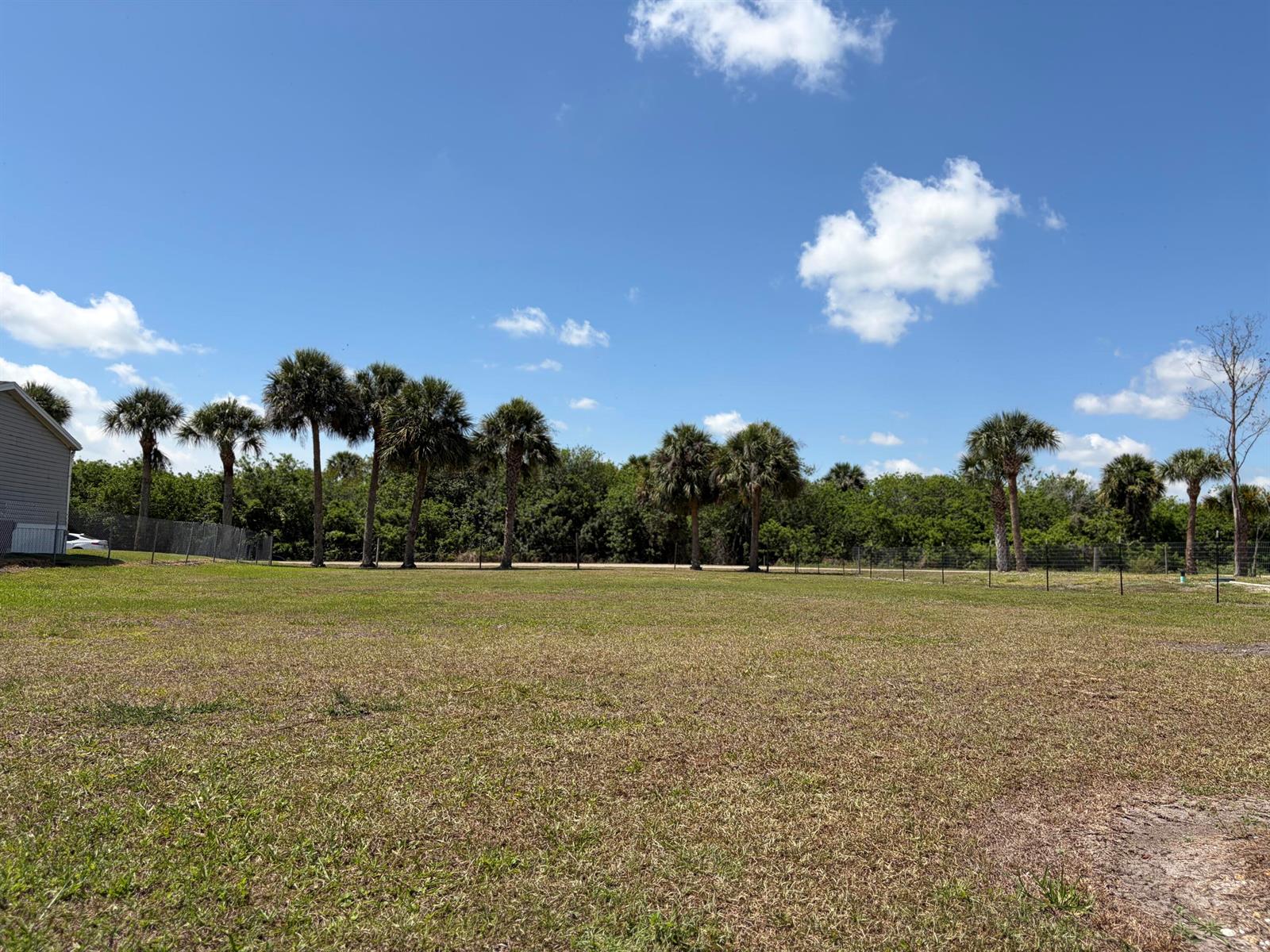A grassy lot features a line of palm trees under a blue sky with clouds — 1075 Friendship Drive NE, Moore Haven FL 33471, MOORE HAVEN, FL