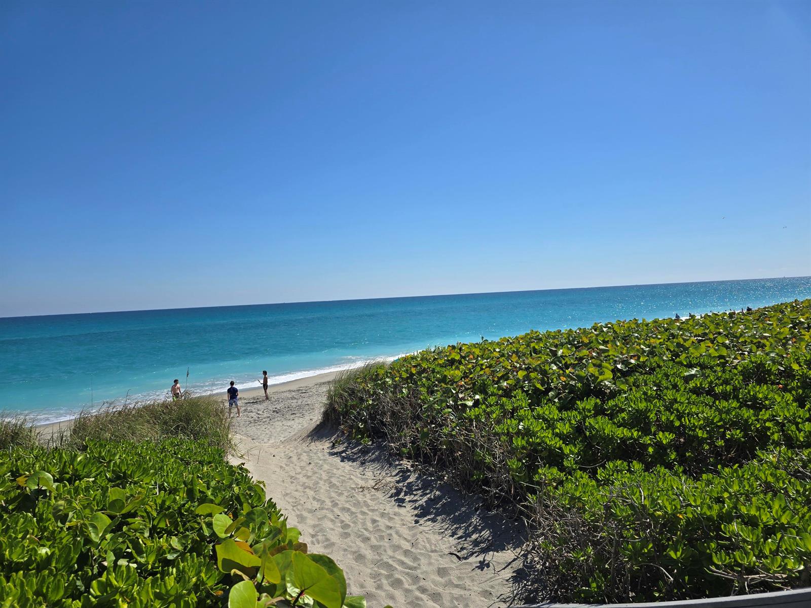 A sandy path leads through beach vegetation to the ocean under a clear blue sky — 420 Celestial Way # 204, Juno Beach FL 33408, JUNO BEACH, FL