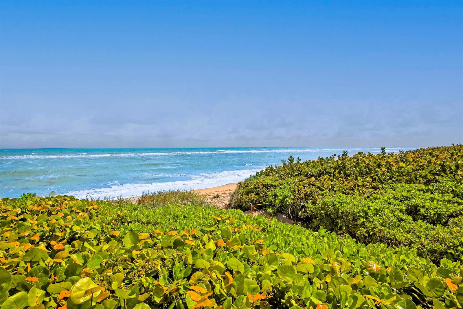 A view of the ocean and sandy beach from behind a patch of coastal vegetation — 420 Celestial Way # 204, Juno Beach FL 33408, JUNO BEACH, FL