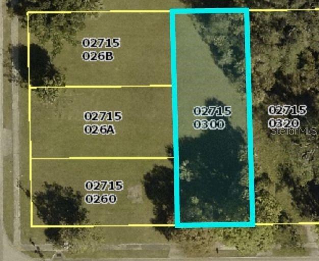 This is an aerial map showing a rectangular parcel of land highlighted in light blue — 2717 PASTOR JAMES A BING WAY, FORT MYERS, FL