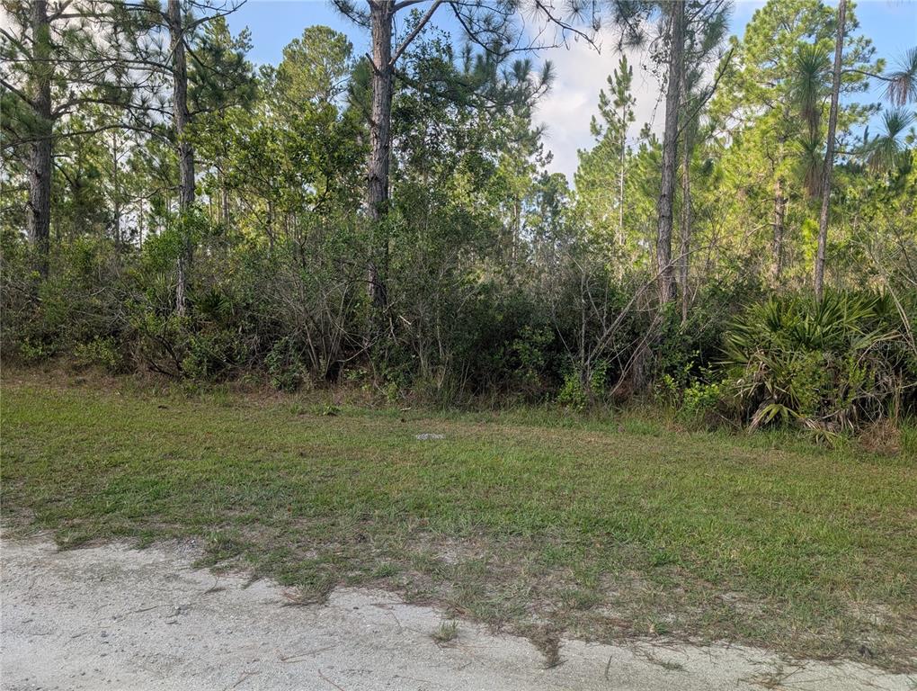 A grassy lot borders a dense forest of pine trees and native Florida vegetation — CORAL GABLES DRIVE, INDIAN LAKE ESTATES, FL