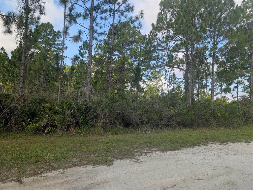 A dirt road runs along the edge of a wooded lot with dense vegetation — CORAL GABLES DRIVE, INDIAN LAKE ESTATES, FL