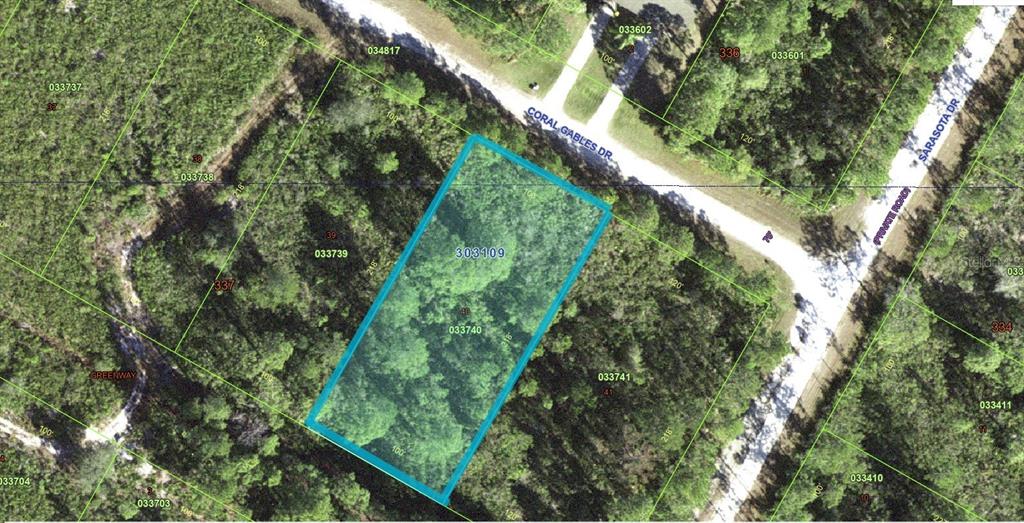 An aerial map view shows a rectangular, wooded land parcel highlighted in blue — CORAL GABLES DRIVE, INDIAN LAKE ESTATES, FL