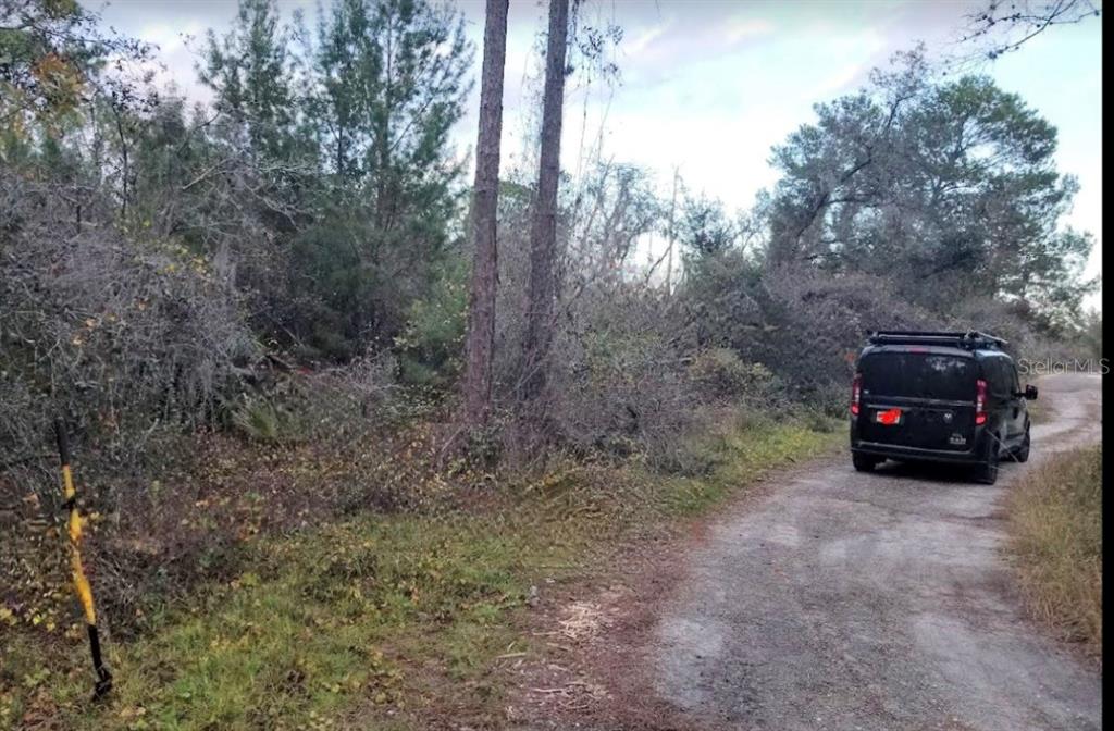 A black van is parked on a dirt road next to a wooded, undeveloped lot — 4606 PIEDMONT AVENUE, SEBRING, FL