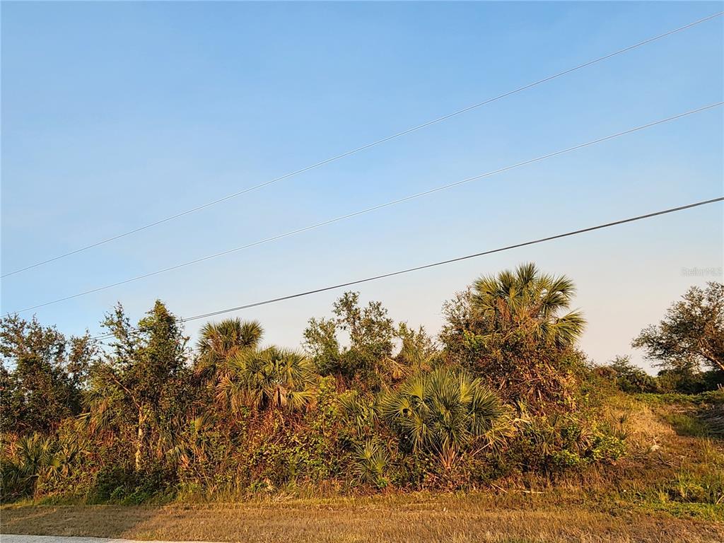 13369 APPLETON BOULEVARD, PORT CHARLOTTE, FL — photo 5 of 6