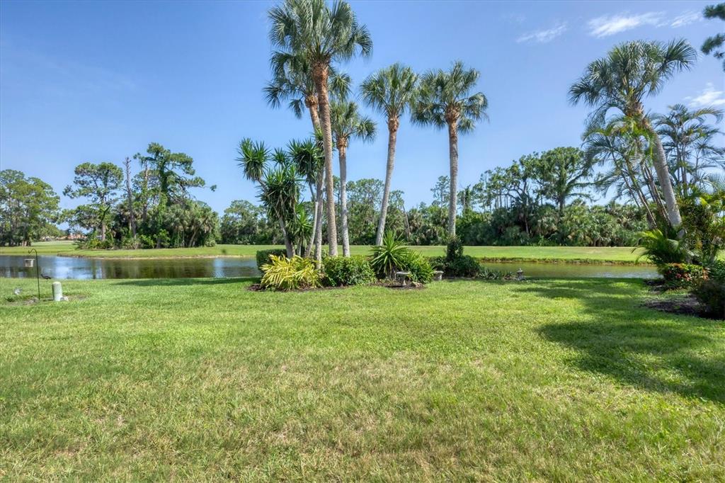 A grassy backyard overlooks a pond with palm trees and dense vegetation in the background — 2087 TIMUCUA TRAIL, NOKOMIS, FL
