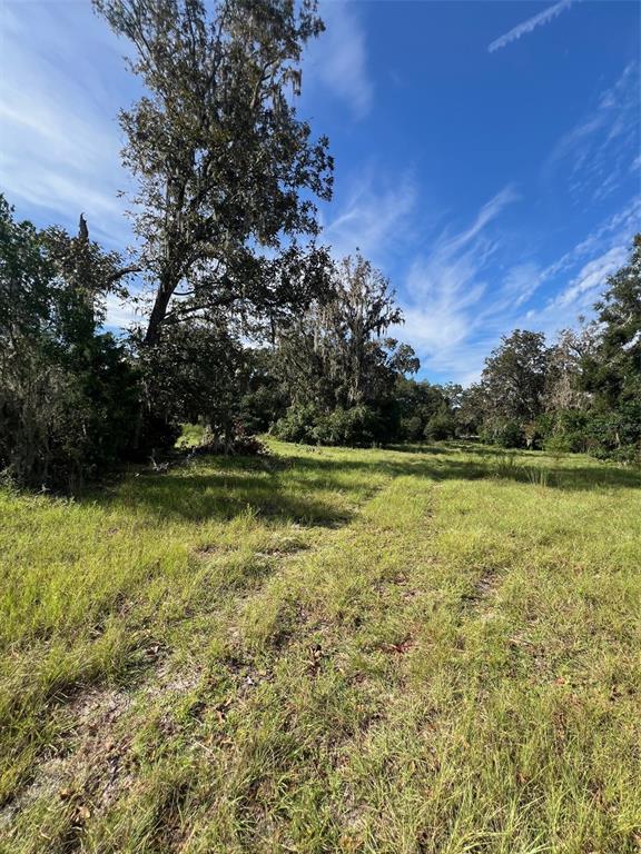 A grassy, open field is surrounded by mature trees under a clear blue sky — 16604 NW STATE ROAD 45, HIGH SPRINGS, FL