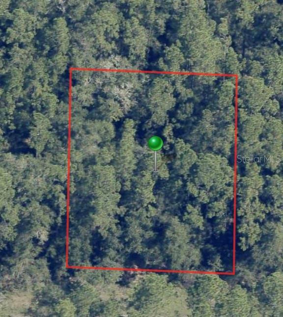 An aerial view shows a rectangular plot of land covered in dense forest — 225 E ENFIELD LANE, CITRUS SPRINGS, FL
