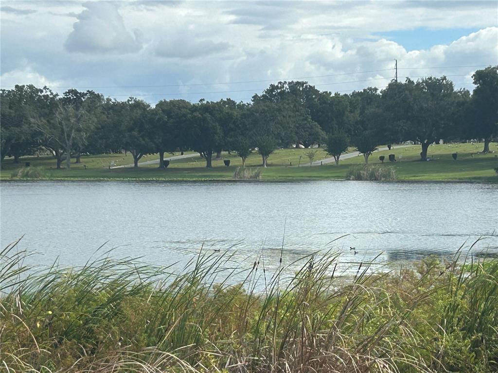 A view of a lake with tall grasses in the foreground and trees beyond — 2844 LAKE ALFRED ROAD, WINTER HAVEN, FL