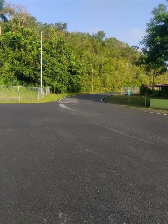 A paved road curves past a chain-link fence and a hillside covered in dense trees — CARR 821 KM 1.9, COROZAL, PR