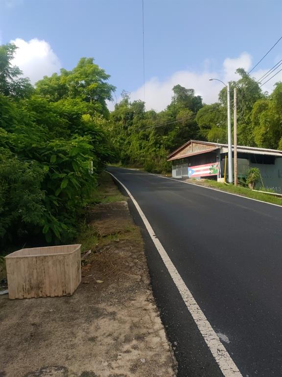 A paved road winds past a building with a Puerto Rican flag mural and trees — CARR 821 KM 1.9, COROZAL, PR