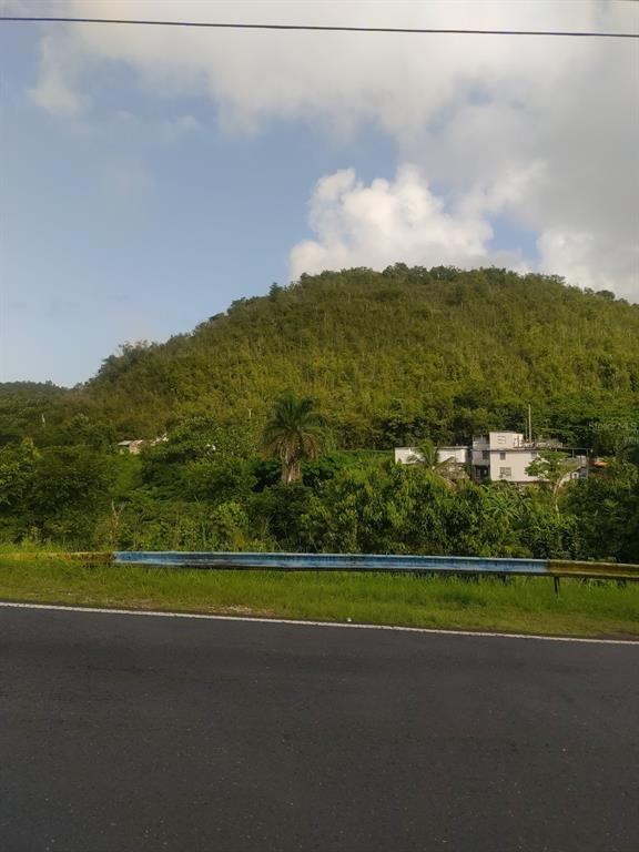 A view of a green, tree-covered hill rising behind a house and a roadside guardrail — CARR 821 KM 1.9, COROZAL, PR