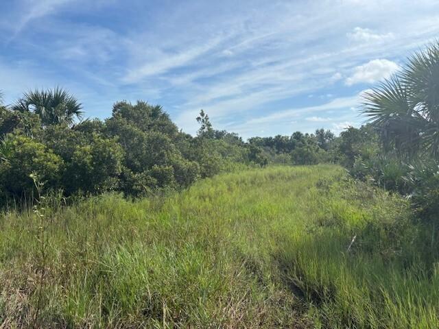 A grassy path leads through a wooded area with palm trees under a blue sky — 0 NW 308th Street, Okeechobee FL 34972, OKEECHOBEE, FL