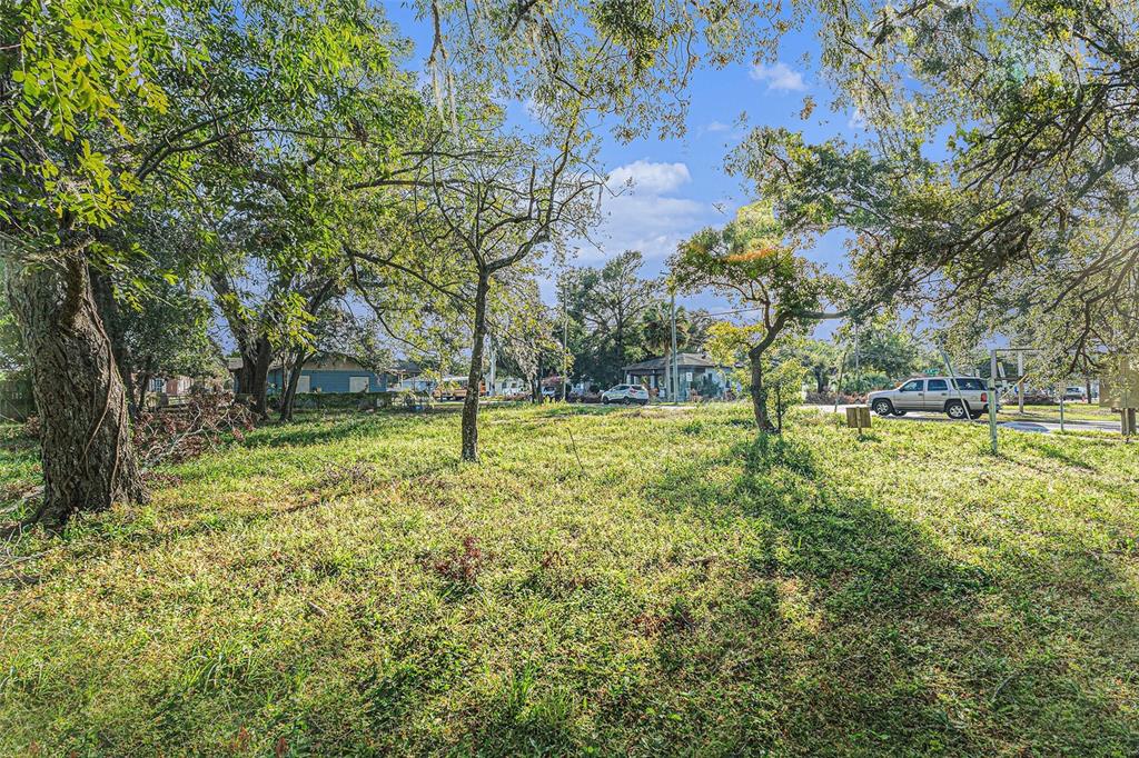A grassy, tree-filled vacant lot sits in front of a residential street with parked cars — 4505 N 34TH STREET, TAMPA, FL