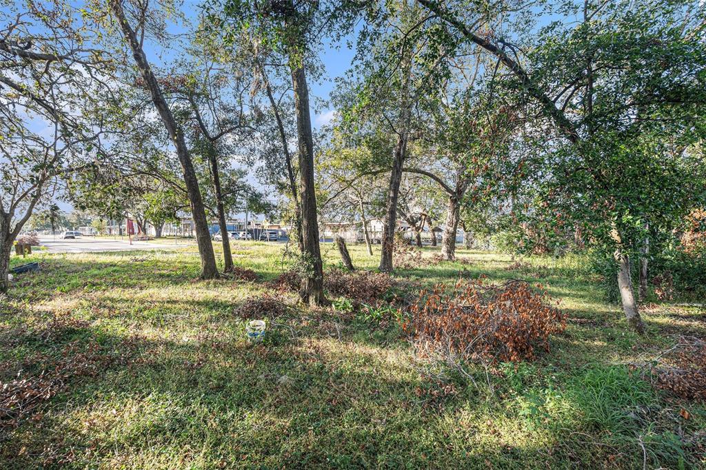 A grassy, wooded lot with several mature trees and a view of a nearby road — 4505 N 34TH STREET, TAMPA, FL