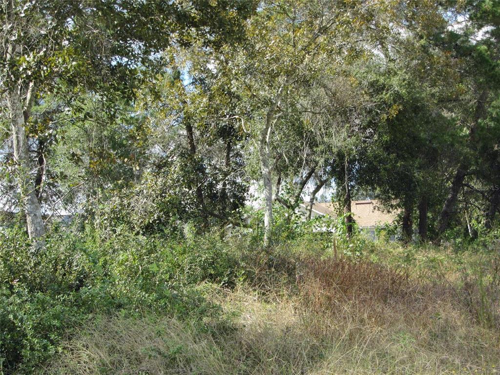 A view of a wooded, overgrown lot with a house visible in the background — 1684 CATALINA BLVD, DELTONA, FL