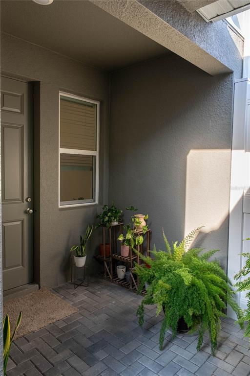 A paved entryway features a gray door, a window, and several potted plants on shelves — 5222 FERNDALE ALLEY, ST CLOUD, FL