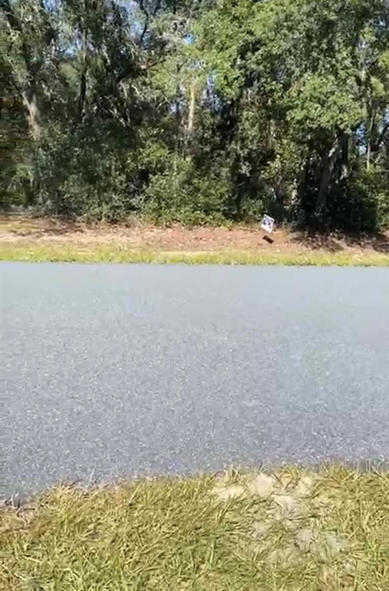 A paved road runs in front of a wooded area with a small sign — 4017 SW 133rd Loop, Ocala FL 34473, OCALA, FL
