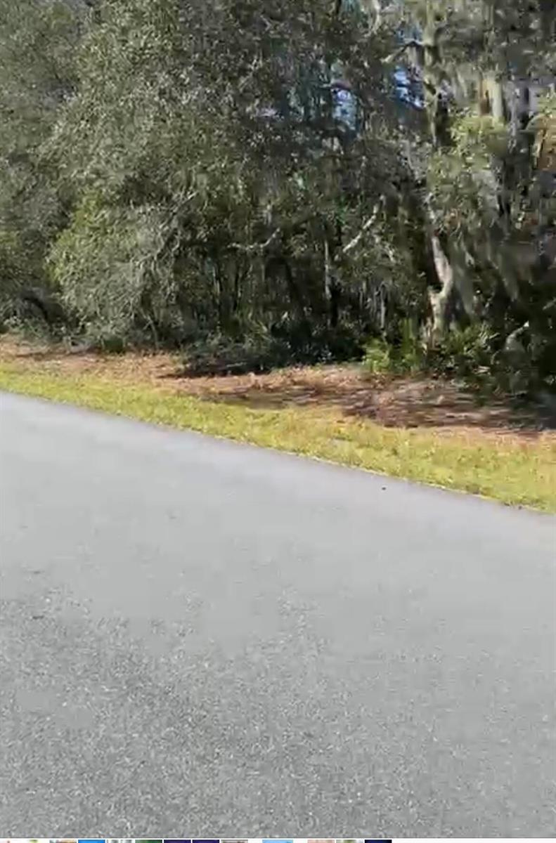 A paved road runs alongside a wooded area with mature trees and Spanish moss — 4017 SW 133rd Loop, Ocala FL 34473, OCALA, FL
