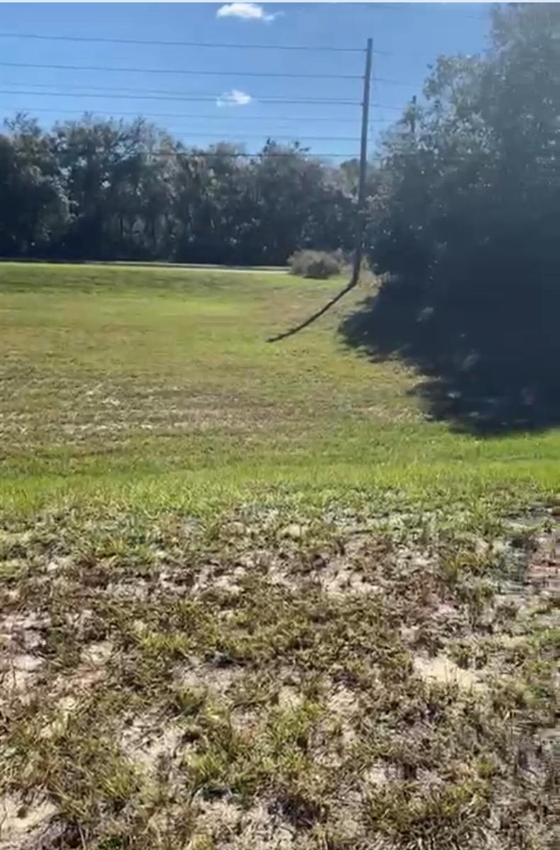 A grassy, sloped lot features a utility pole and a line of trees in the background — 4017 SW 133rd Loop, Ocala FL 34473, OCALA, FL