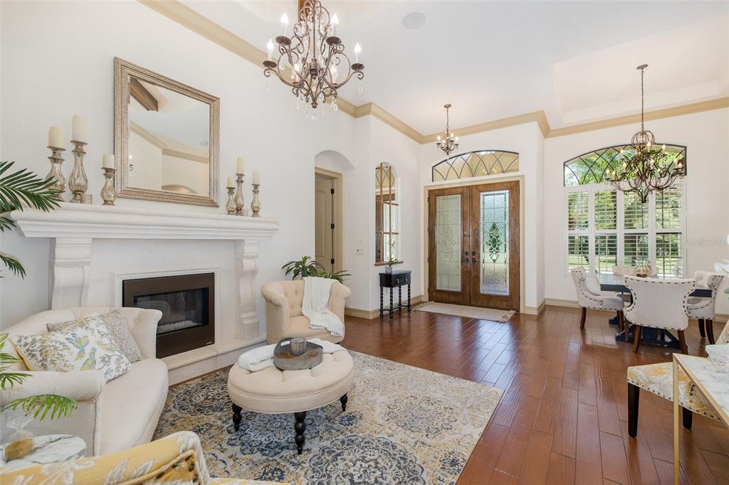 15312 AZRA DRIVE, ODESSA, FL — photo 3 of 30