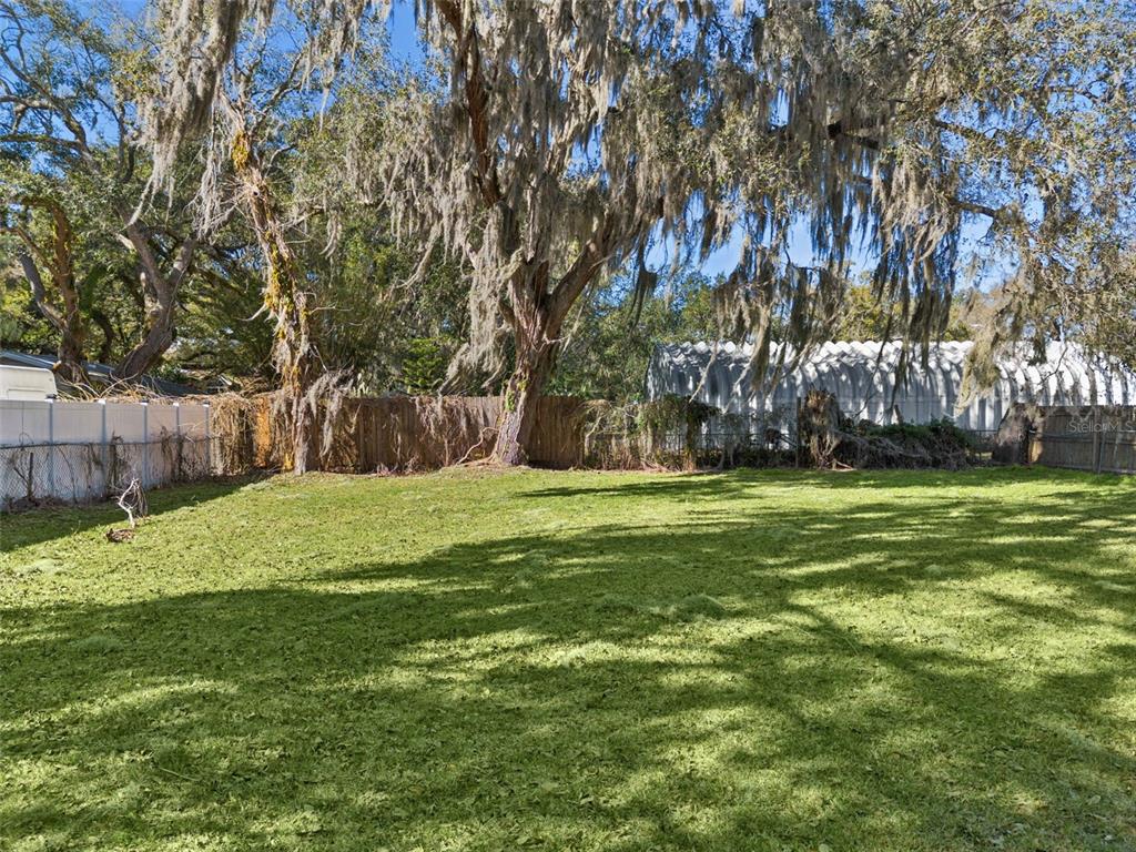 A grassy backyard features large trees draped in Spanish moss and a wooden privacy fence — 1724 EVERGREEN STREET, KISSIMMEE, FL