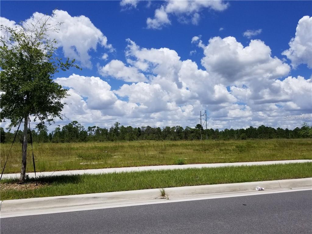 APOPKA VINELAND ROAD