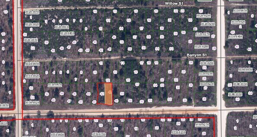 00 MAIN STREET, INTERLACHEN, FL — photo 2 of 3