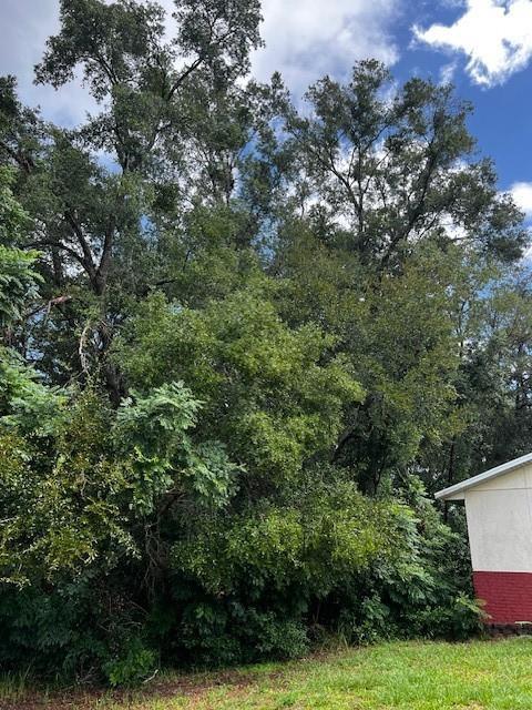 000 Silver Course Loop, Ocala FL 34472, OCALA, FL — photo 3 of 6