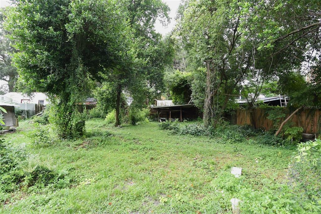 A grassy, overgrown backyard features mature trees, a wooden fence, and a small shed structure — 1422 W HUMPHREY STREET, TAMPA, FL