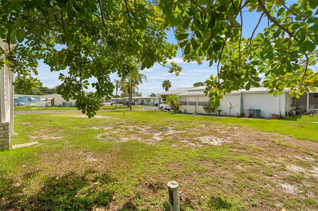 A grassy yard sits between two mobile homes under a clear blue sky — 9790 66TH STREET N UNIT 365, PINELLAS PARK, FL