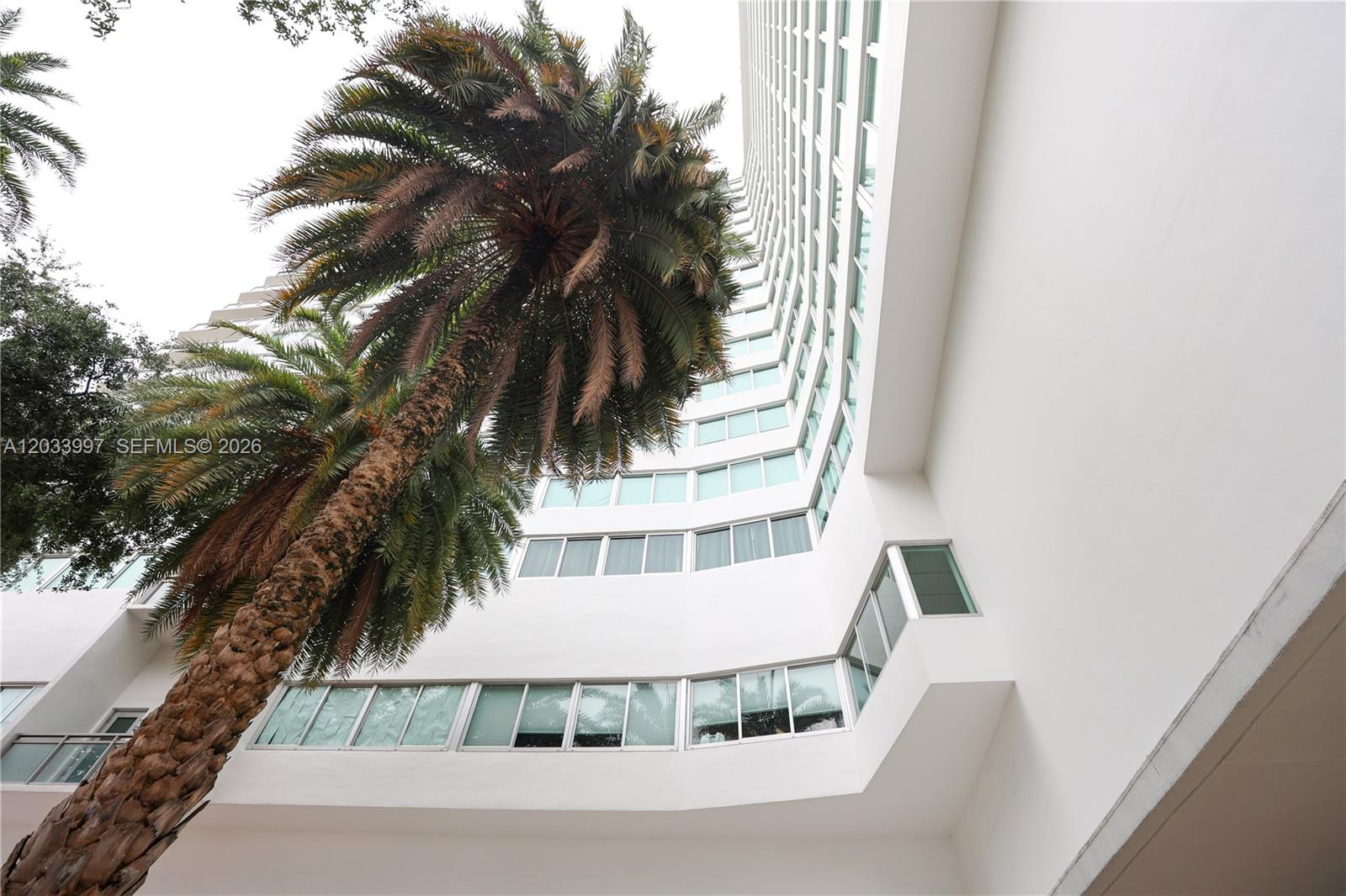 A tall palm tree stands in front of a white multi-story building with many windows — 7135 Collins Ave # 735, Miami Beach FL 33141, MIAMI BEACH, FL