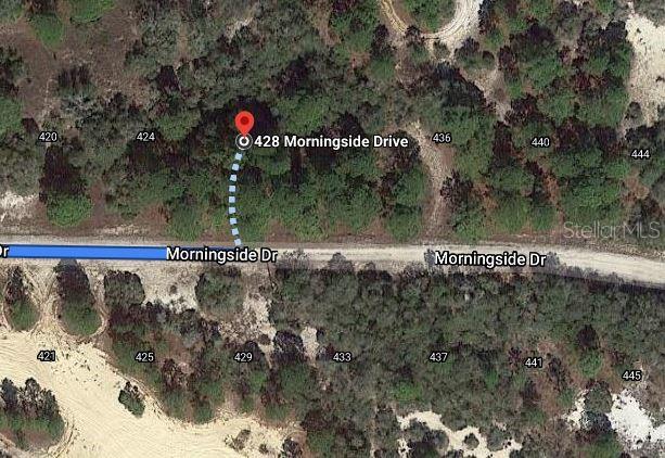 This is a satellite map view showing a vacant wooded lot along a residential street — 428 MORNINGSIDE DRIVE, LAKE PLACID, FL