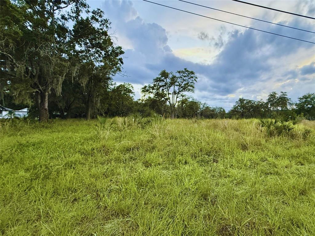 A grassy, undeveloped lot features scattered trees under a cloudy sky — 121 CENTRAL AVENUE, DAVENPORT, FL