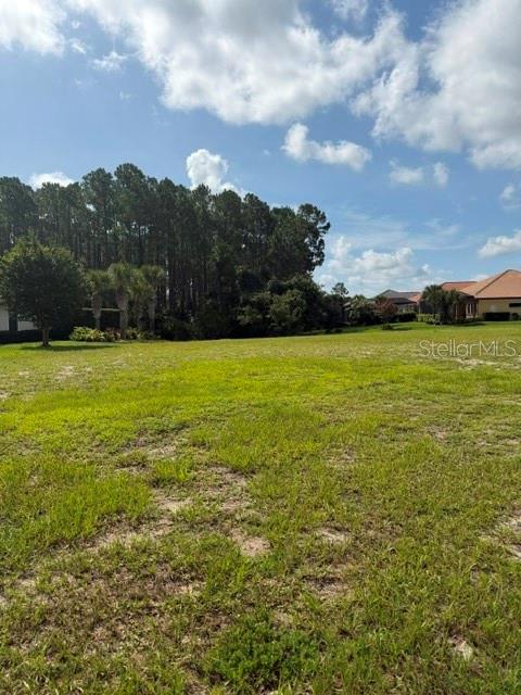 A grassy, vacant residential lot sits in front of a dense line of trees — 515 SWEETGUM LANE LANE, PALM COAST, FL